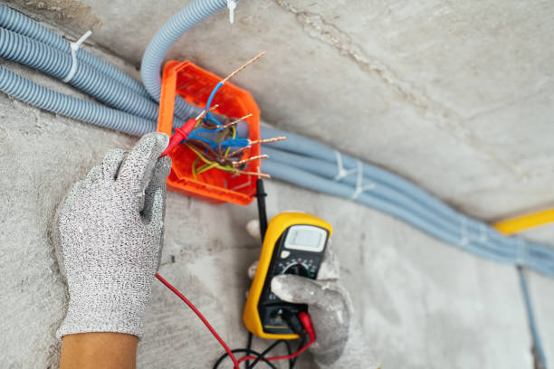 Best Electric Panel Repair  in Arcola, VA